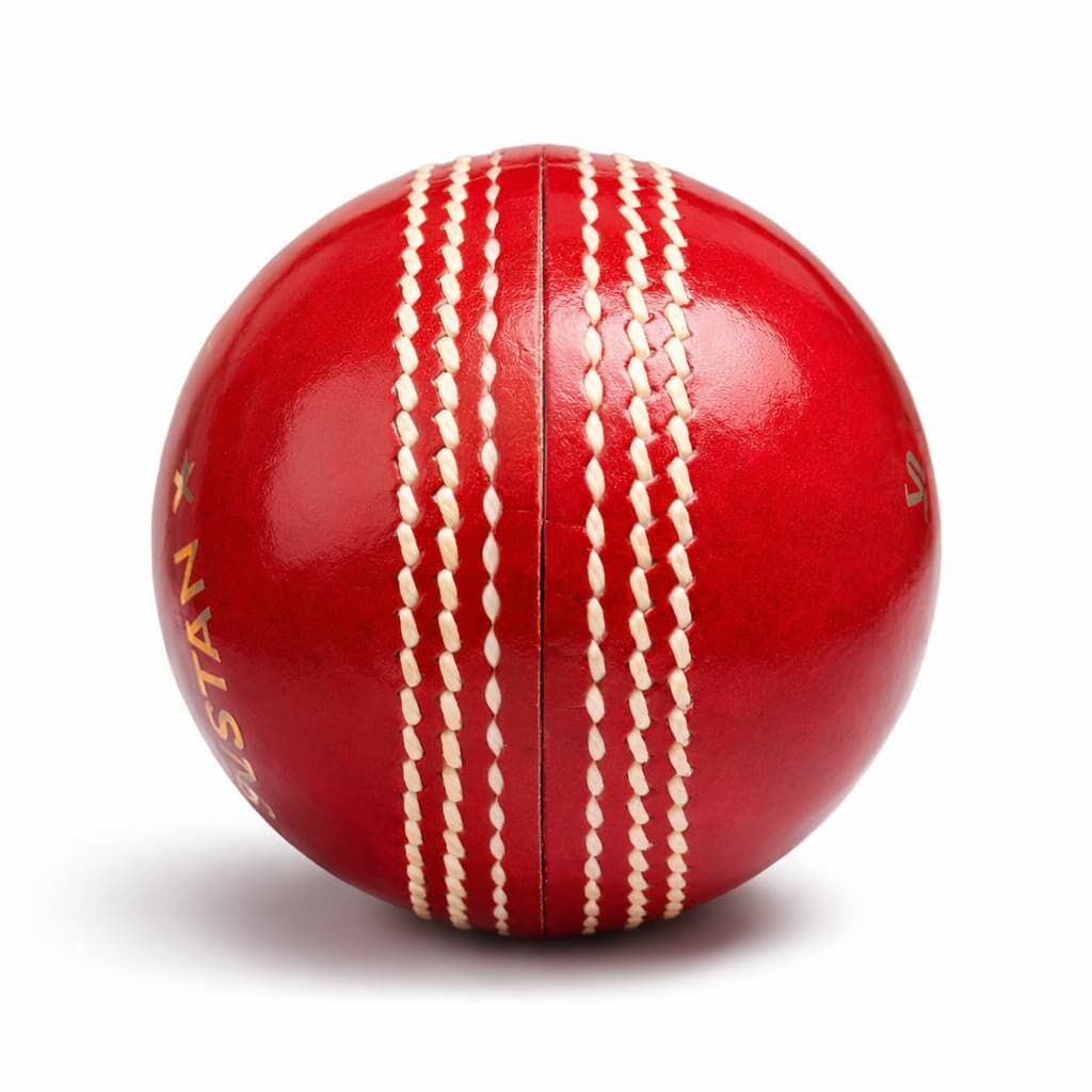 Dandelion Elite 2 Pc Cricket Red Hard Ball (Copy)