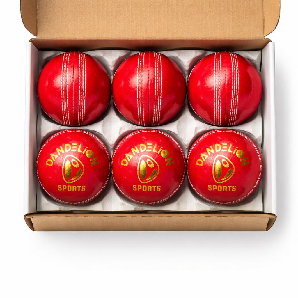 Dandelion Elite 2 Pc Cricket Red Hard Ball (Copy)